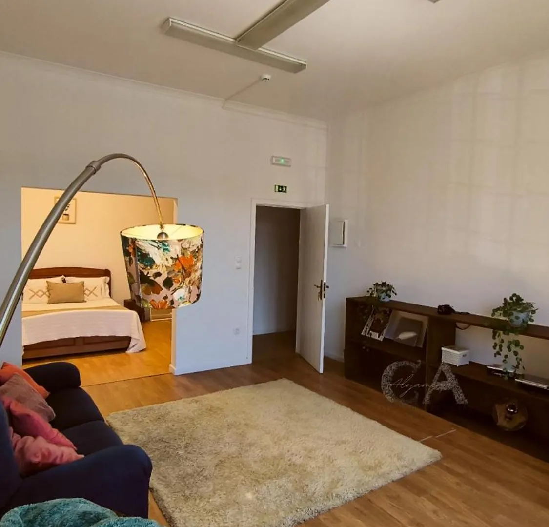 Casa Dos Artistas Apartment Viseu 0*,  Portugal